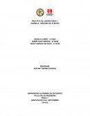 PRACTICA DE LABORATORIO 3: DINÁMICA - MÁQUINA DE ATWOOD