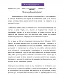 ENSAYO "Mi rol como Docente Inclusivo"