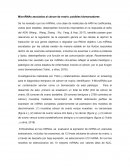 MicroRNAs asociados al cáncer de ovario: posibles biomarcadores