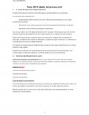 El objeto del proceso civil