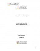 INFORME TÉCNICO “SECRETERARÍA”