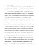 Capitulo 1 - Libro Un Paso Adelante