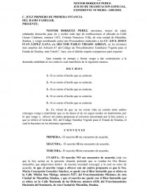 JUICIO DE TRAMITACION ESPECIAL. Página 1