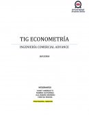TIG ECONOMETRÍA INGENIERÍA COMERCIAL ADVANCE