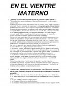 En El Vientre Materno
