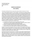 Reporte de entrevista (Vida laboral)