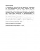 OBLIGACIONES . LA COMPAÑÍA ALFA S.A.DE C.V.