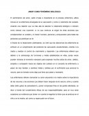 Amor como fenómeno biologico