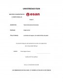 Los brokers de seguros: Un modelo Político de poder