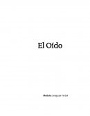El oido Módulo: Lenguaje Verbal