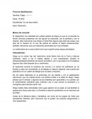 Diagnostico Diego Contreras