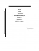 ANALISIS DEL DOCUMENTAL CAMINO A LA ESCUELA