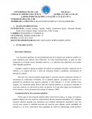 REACCIONES QUIMICAS Y ESTEQUIOMETRIA