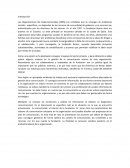 Las Organizaciones No Gubernamentales (ONG)