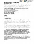 Actividad práctica 7: Aproximación a la teoría de Piaget