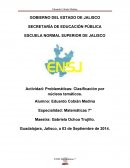 Actividad: Problemáticas: Clasificación por núcleos temáticos