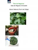 Idea de Negocio Innovador Abono Natural (Purín de Ortiga)