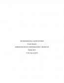 Administración de compensaciones y bienestar