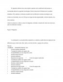 Proyecto Final FUNDAMENTOS DE SISTEMAS OPERATIVOS