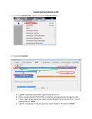 Creación (apertura) Ejercicios en SFP
