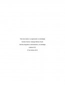 Administración y la estrategia. La organización y la estrategia