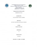 TRABAJO DE INVESTIGACIÓN: ERRORES DE EXCEL