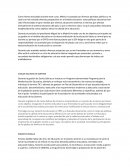 Políticas educativas. CARLOS SALINAS DE GORTARI