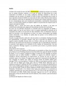 Negocios internacionales. Netflix