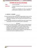 Informe Calculo Vectorial. Centros de gravedad