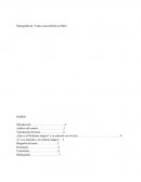 Monografía de “Carta a una señorita en París”