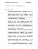 CASO DE APLICACIÓN 3.2: TROPIEZOS GLOBALES