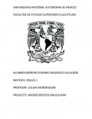 PROYECTO: MICROCRÉDITOS NAUCALPAN