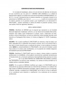 Convenio de practicas profesionales