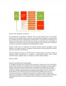 Discusión: Herramientas del marketing digital