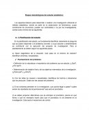 Etapas metodológicas del estudio estadístico