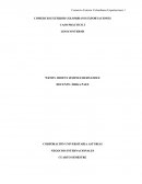 Caso practico comercio exterior colombiano