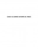 El ganso levanta el vuelo