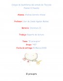 Reporte de lectura Tema: “El principito”