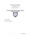 Lupus eritematoso discoide y sistémico así como su incidencia en Michoacán