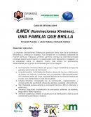 CASO DE ESTUDIO 2/2018 ILMEX (Iluminaciones Ximénex), UNA FAMILIA QUE BRILLA