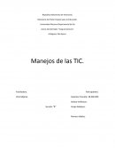 Principios y valores que fundamentan la alfabetización tecnológica