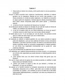 Capitulos de microbiologia