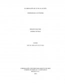 Elaboracion plan de accion