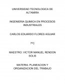 PLANEACION Y ORGANIZACION DEL TRABAJO