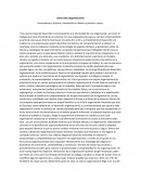 Desarrollo Organizacional . Antecedentes, Historia y Desarrollo en México y América Latina