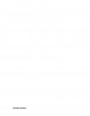 Investigacion de mercados de cortinas