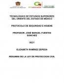 RESUMEN DE LA LEY DE PROTECCION CIVIL