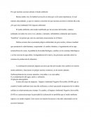 Discurso Impacto Ambiental