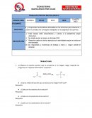 TRABAJOS FINALES BACHILLERATO