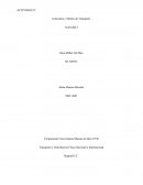 Transporte y Distribución Física Nacional e Internacional